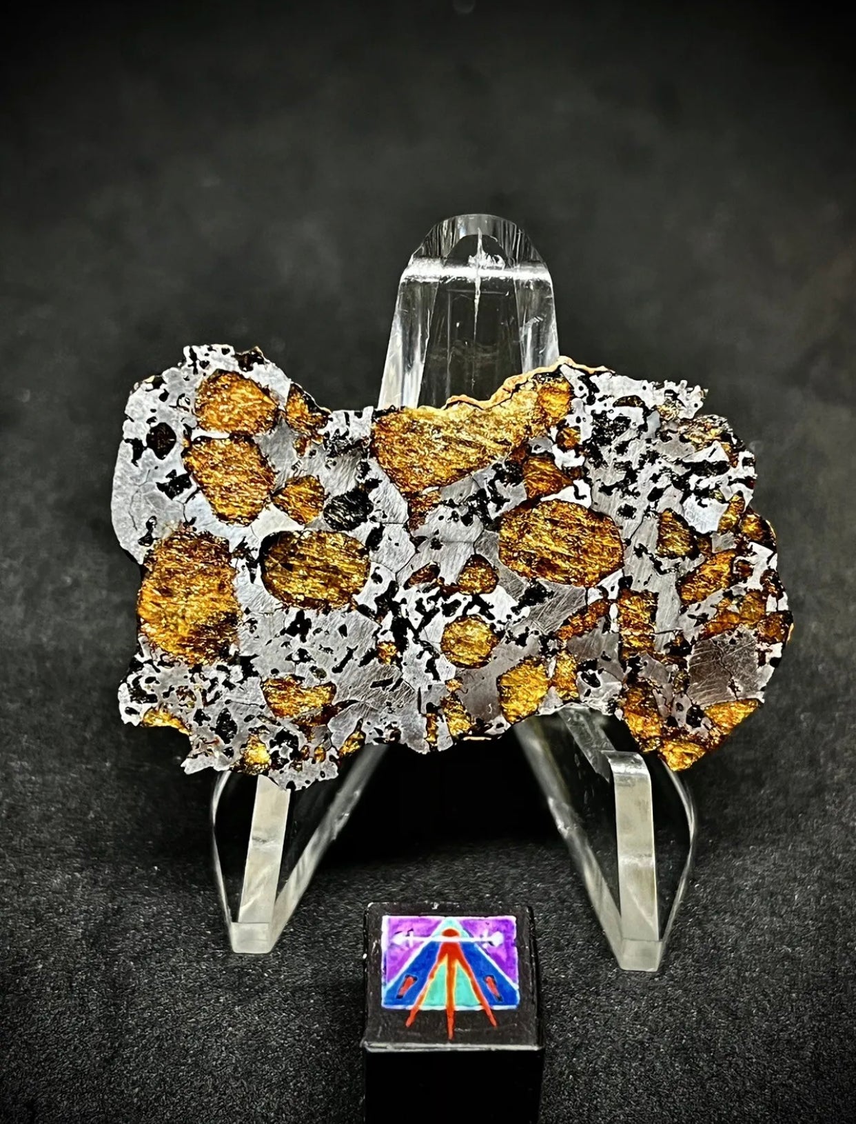 The Interstellar Collection Hassi El Biod 002 Meteorite 14.7g End Cut