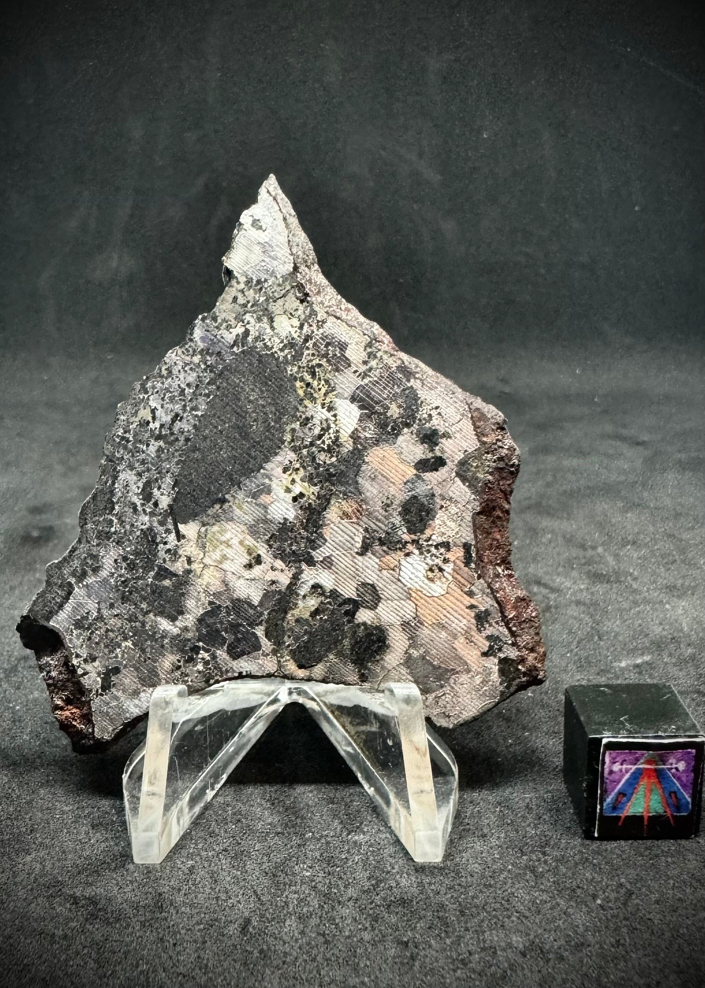 NWA 5549 Silicated Iron Meteorite - 21g