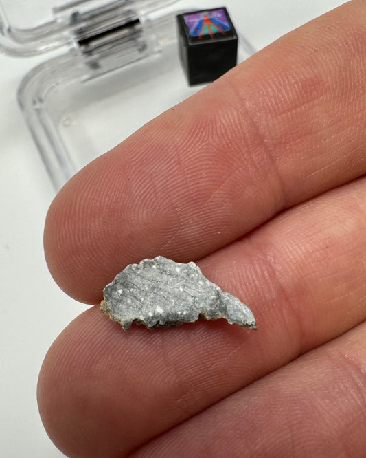 Gadamis 005 Lunar Meteorite - Ferroan Anorthosite, Cataclastic - “The Apollo Lunar” - 0.3g