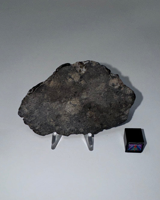 NWA 15923 Eucrite Meteorite - 20.2g (Parent Body: Asteroid)