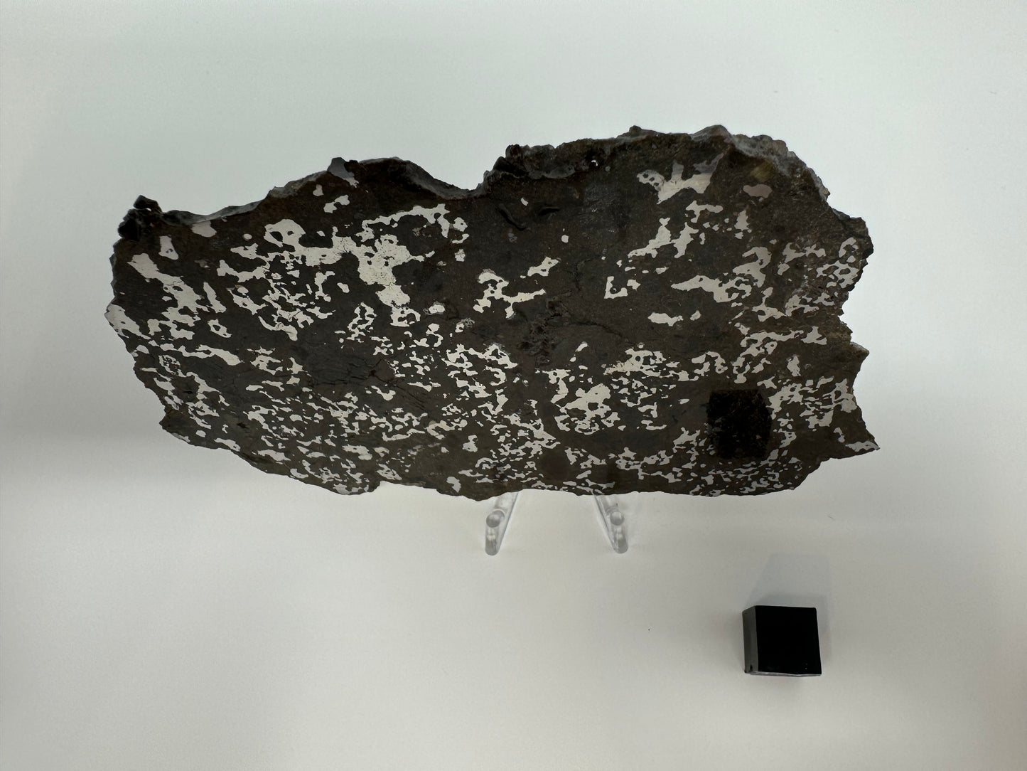 65.3g El Milhas 005 Mesosiderite Meteorite - The Estherville Lookalike!