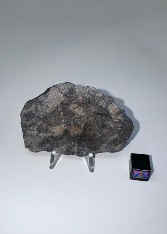 NWA 15923 Eucrite Meteorite - 10g (Parent Body: Asteroid)