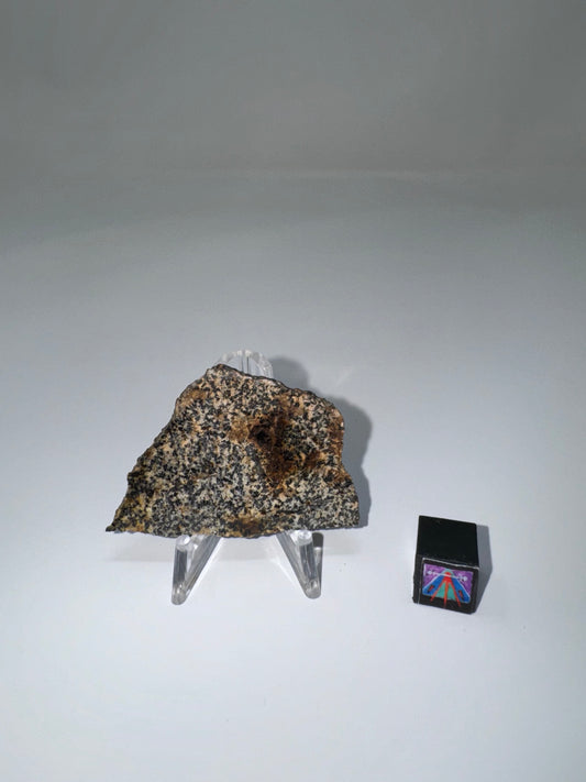 NWA 16312 Eucrite Meteorite - 7.9g - Part Of The HED Group