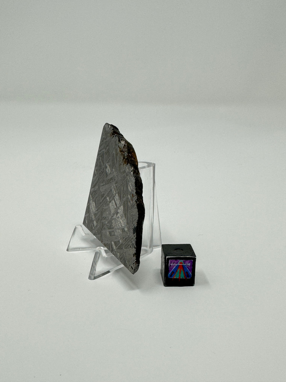 Muonionalusta Iron Meteorite - 42.1g – The Interstellar Collection