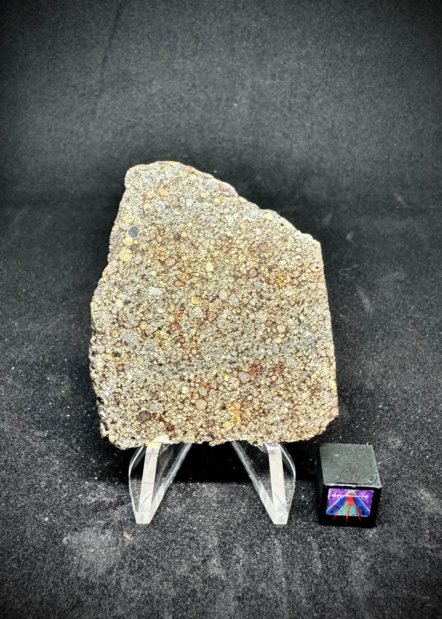 NWA 8007 - A Stunning Ordinary Chondrite Packed With Chondrules
