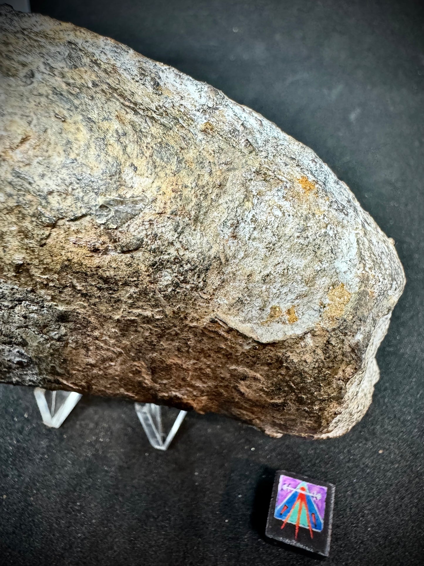 Aba Panu Meteorite - Tracked by NASA! Stunning Chondrules - 242.9g