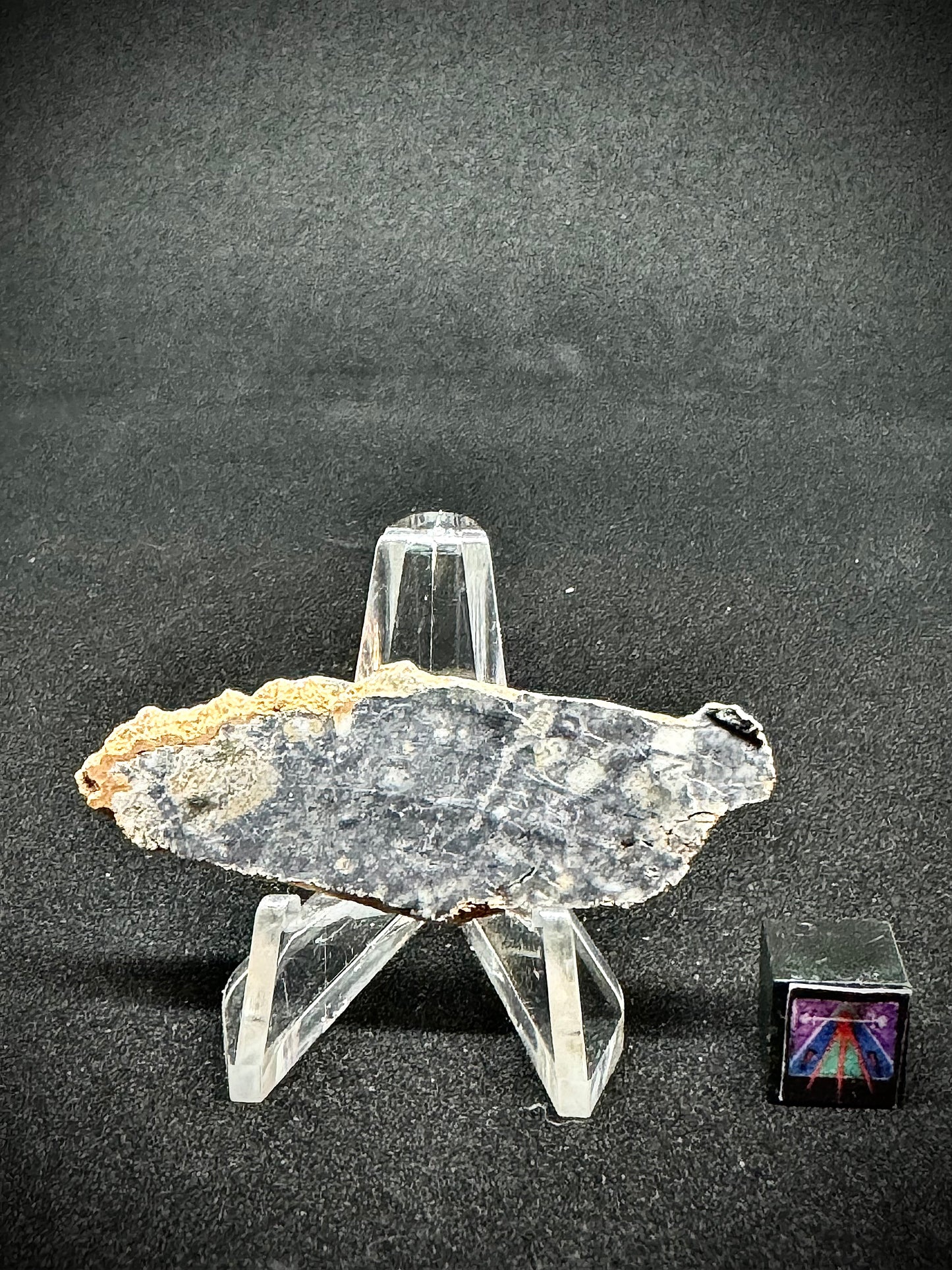 NWA 15373 Lunar Fragmental Breccia - Full Slice - 5.4g