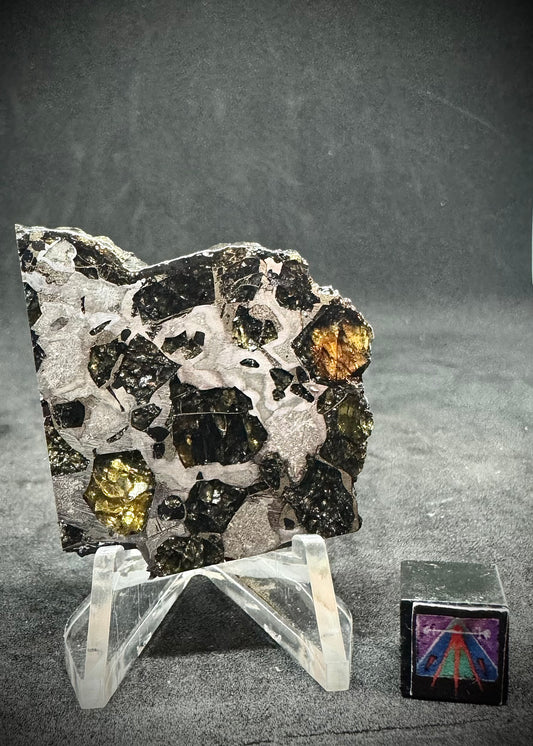 Brahin Pallasite Meteorite - 18.8g