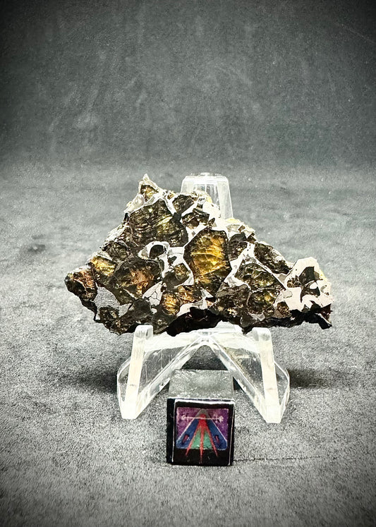 Brahin Pallasite Meteorite - 12.4g