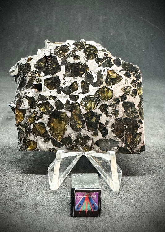 Genuine Stony-Iron Meteorites - Guaranteed Authentic - The Interstellar ...
