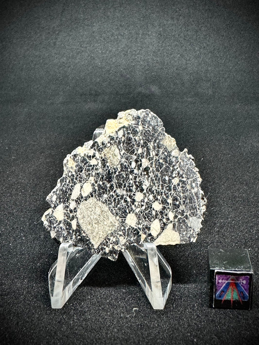 NWA 14685 Lunar Fragmental Breccia - Full Slice - 9.6g