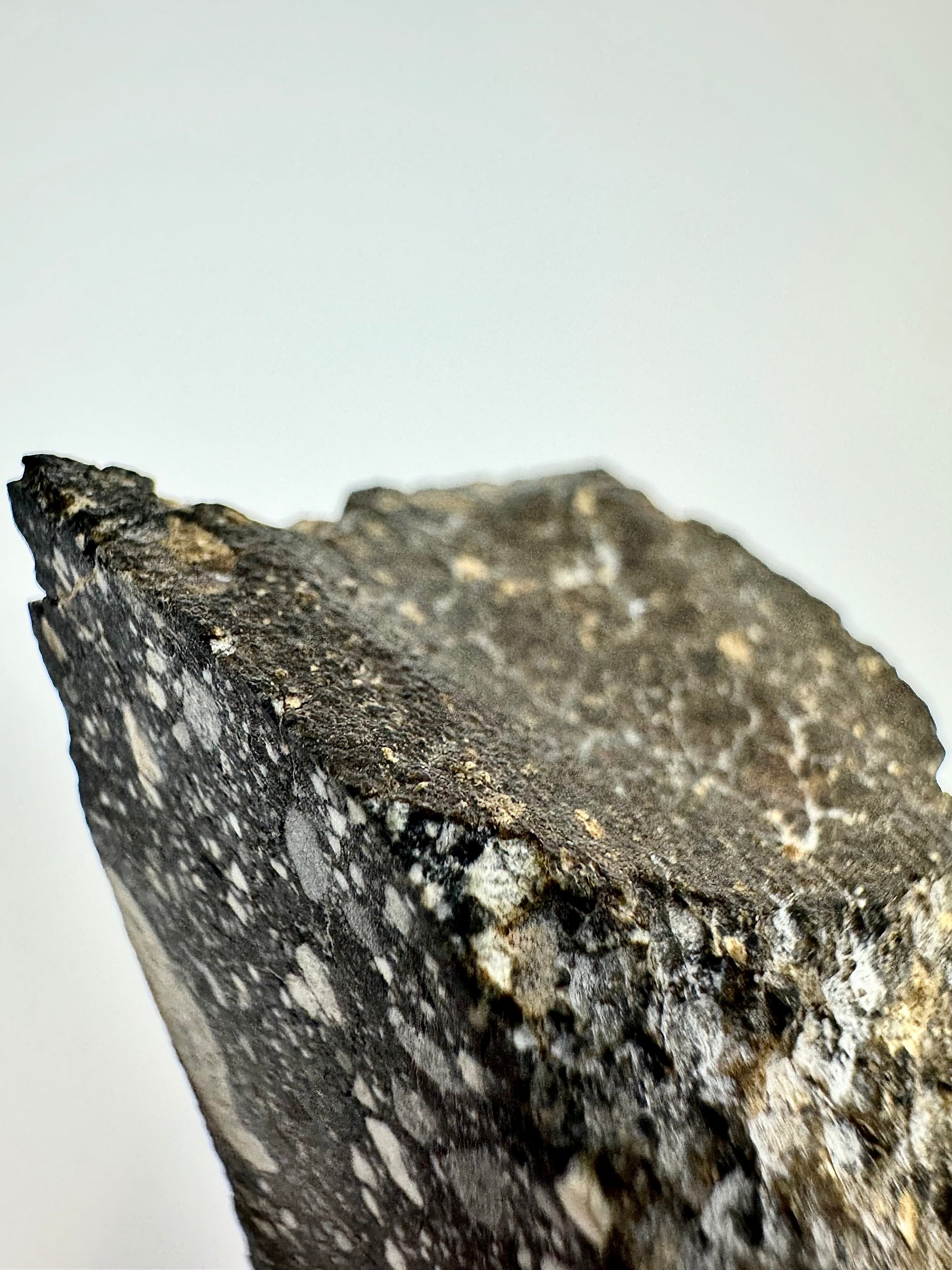 Massive Chunk of the Moon with Fusion Crust! NWA 14685 Lunar Fragmenta ...