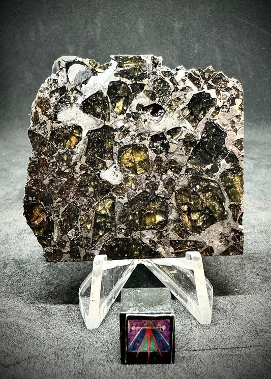 Brahin Pallasite Meteorite - 32.8g