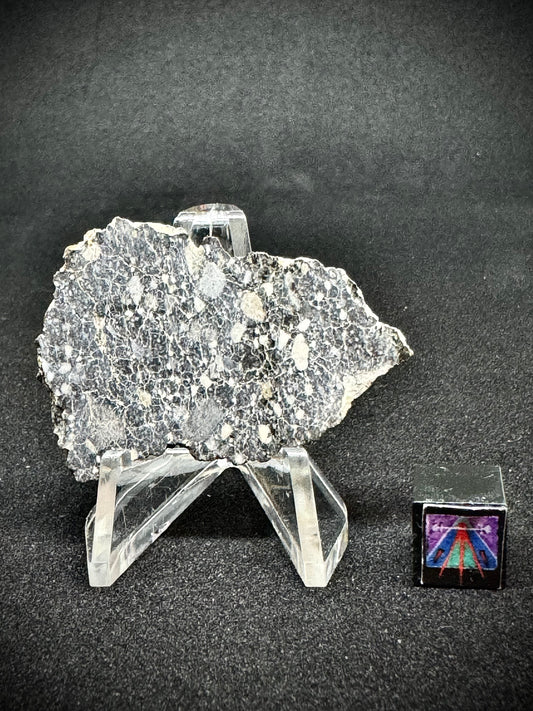 NWA 14685 Lunar Fragmental Breccia - Full Slice - 7.5g