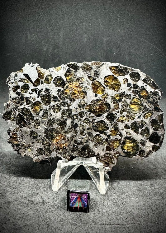 Brahin Pallasite Meteorite - Full Slice - 64.6g