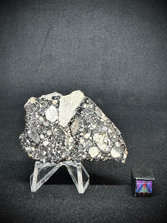 NWA 14685 Lunar Fragmental Breccia End Cut - Polished - Beautiful Crust! 27.2g