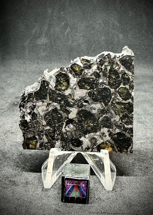 Brahin Pallasite Meteorite - 25.5g