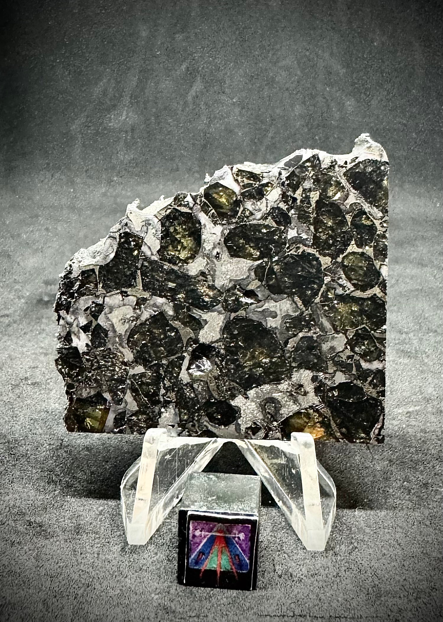 The Interstellar Collection - 25.5 g Brahin Pallasite Meteorite - $459
