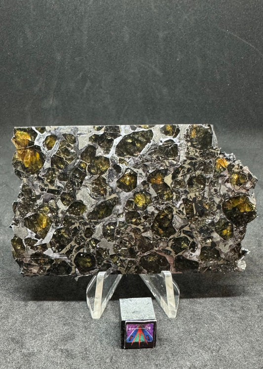 Brahin Pallasite Meteorite - 51.5g
