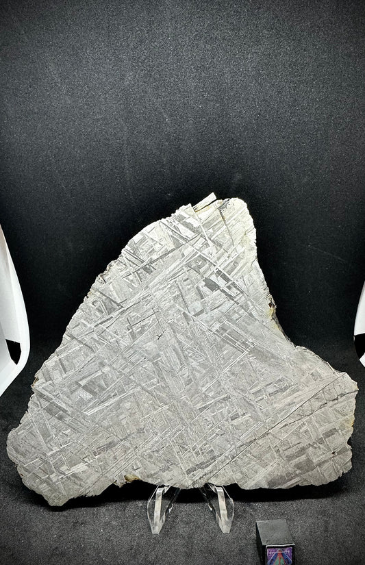 Muonionalusta Iron Meteorite - 147.8g - Full Slice
