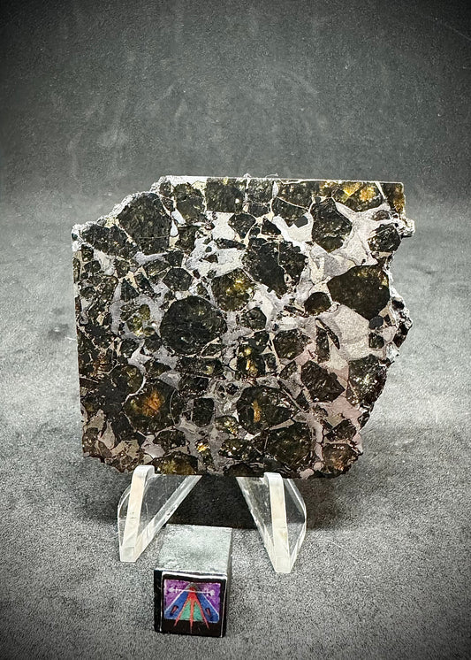Brahin Pallasite Meteorite - Thick Slice/Non-Translucent - 52.1g