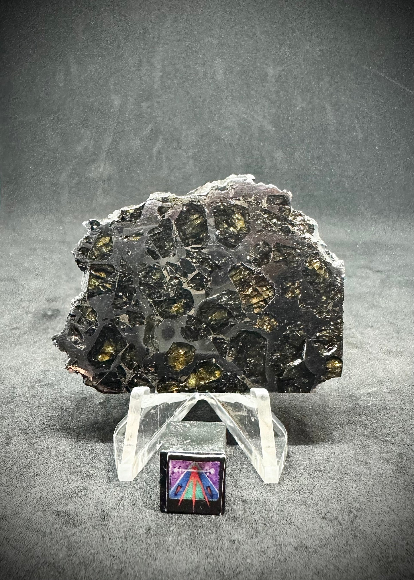Brahin Pallasite Meteorite - 26.3g