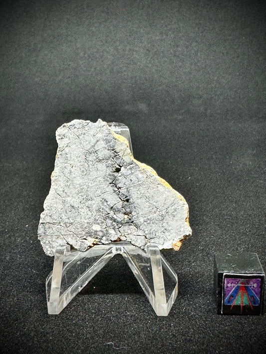 Gadamis 005 Lunar End Cut - Ferroan Anorthosite, Cataclastic - “The Apollo Lunar” - 7.7g