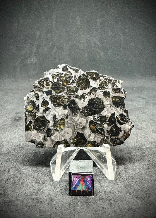 Brahin Pallasite Meteorite - 26.3g