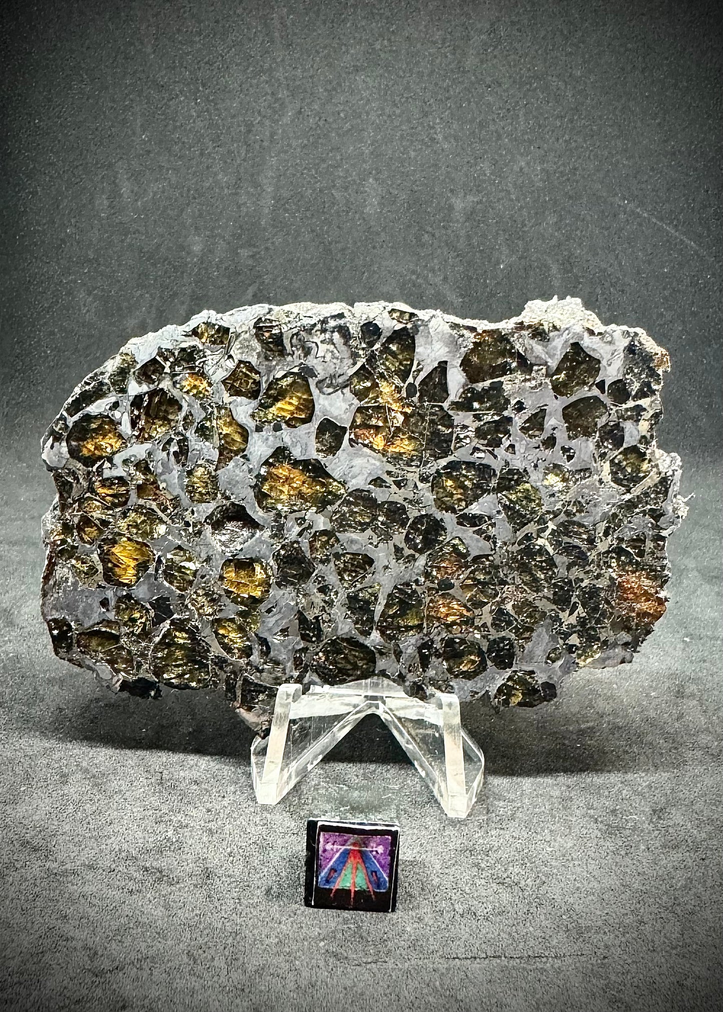 Brahin Pallasite Meteorite - Full Slice - 64.6g
