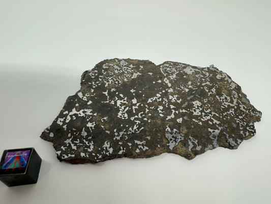 65.3g El Milhas 005 Mesosiderite Meteorite - The Estherville Lookalike!