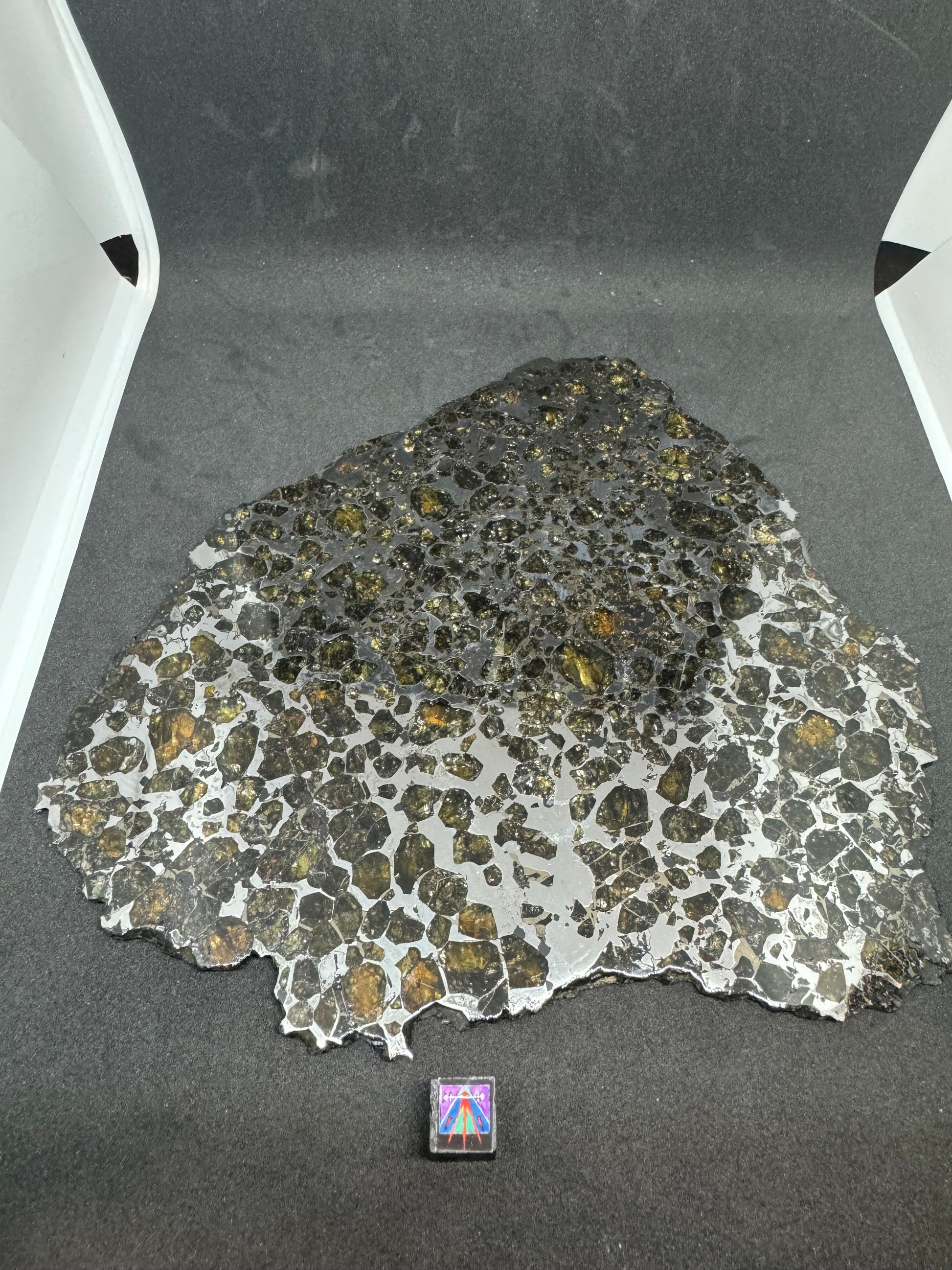 The Interstellar Collection - 263 g Brahin Pallasite Meteorite - Full ...