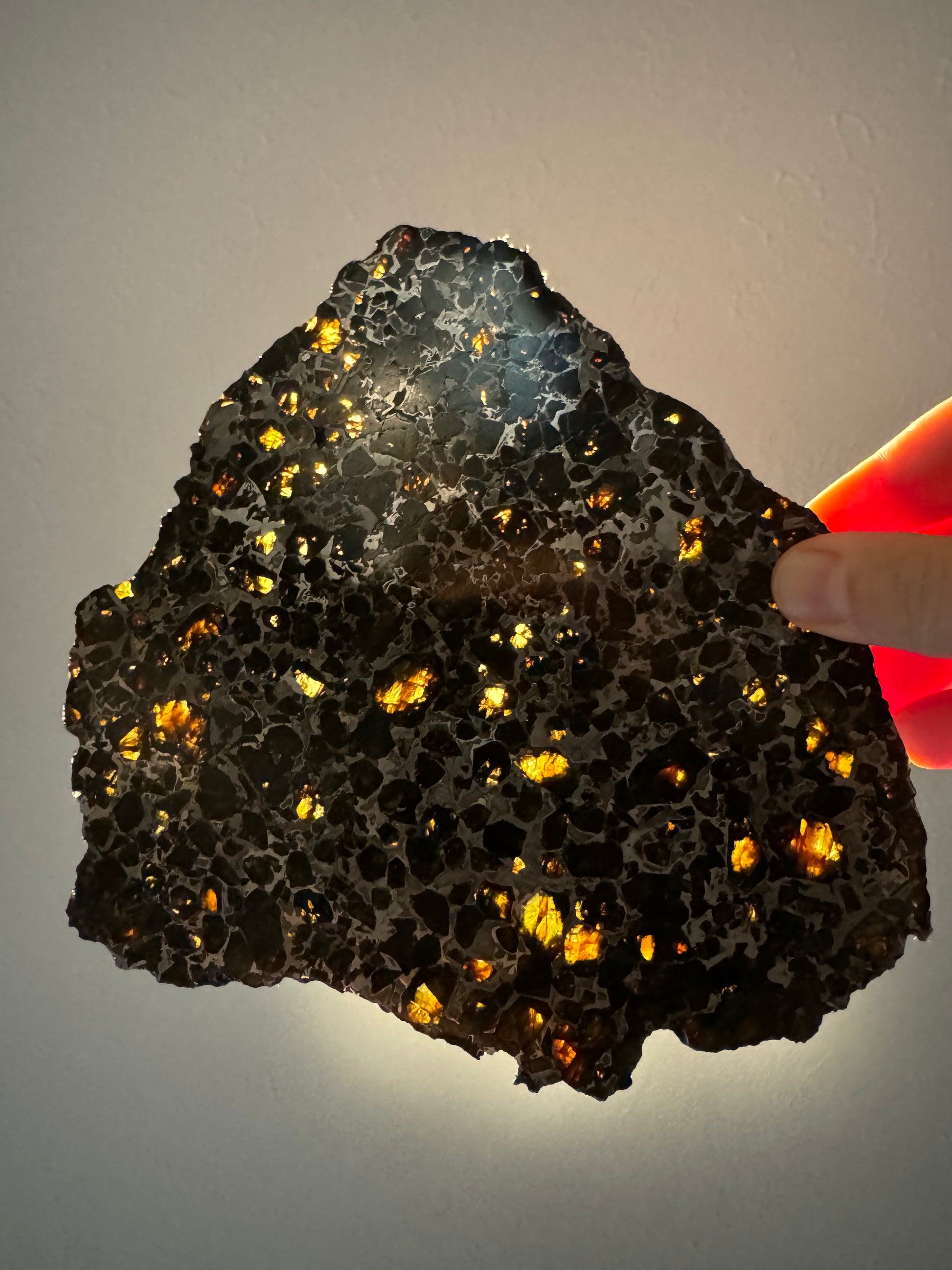 The Interstellar Collection - 263 g Brahin Pallasite Meteorite - Full ...