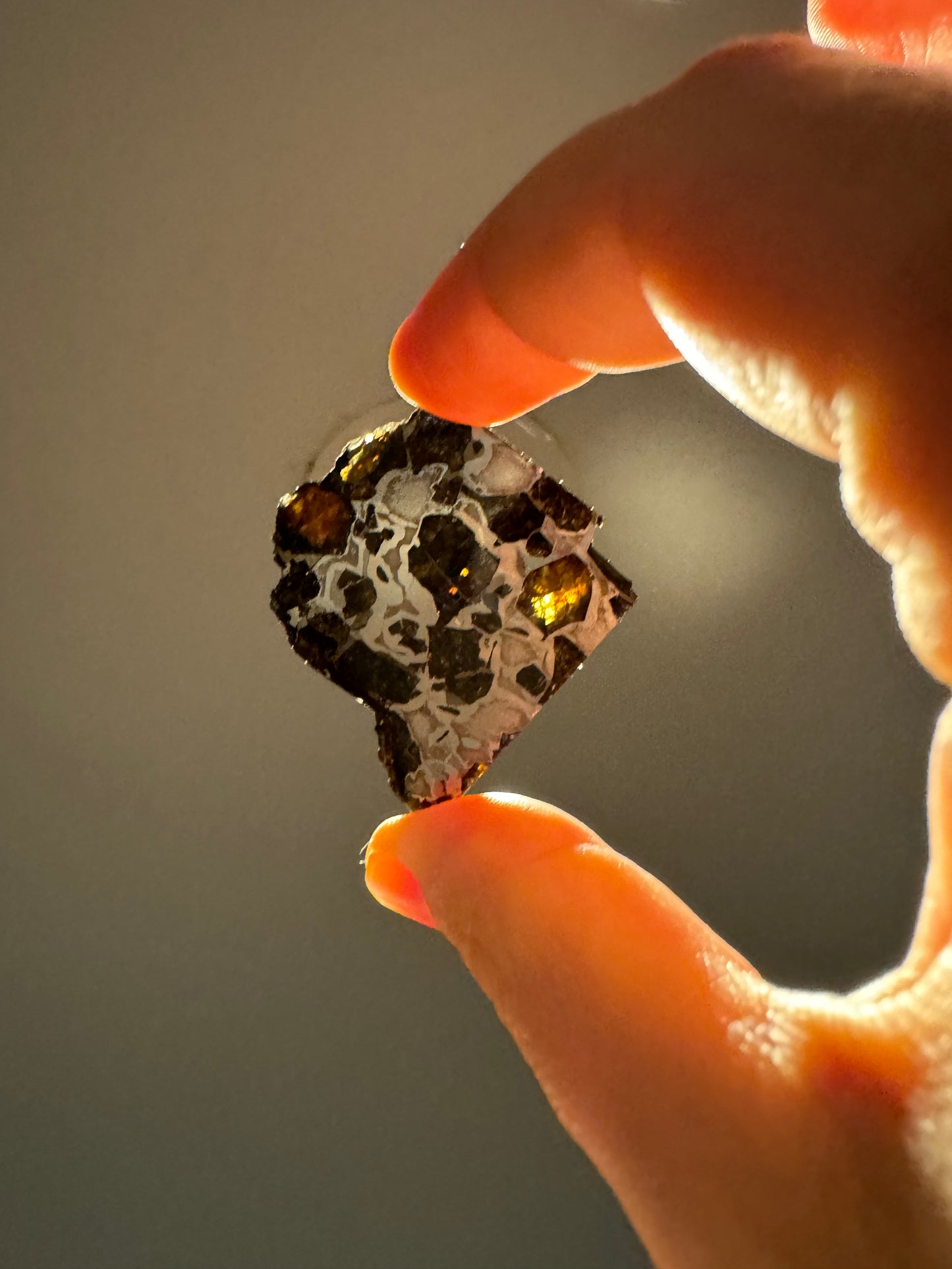 Brahin Pallasite Meteorite - 18.8g