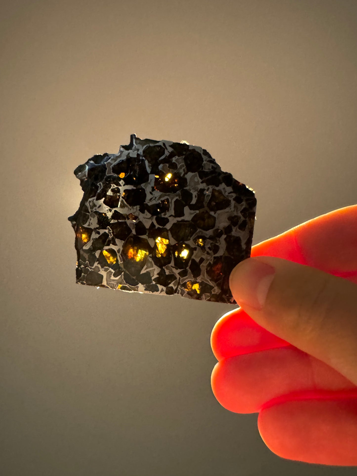Brahin Pallasite Meteorite - 35.2g