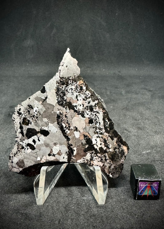 NWA 5549 Silicated Iron Meteorite - 21g